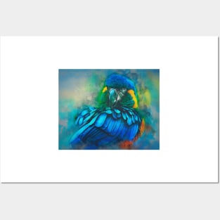 Macaw Magic Posters and Art